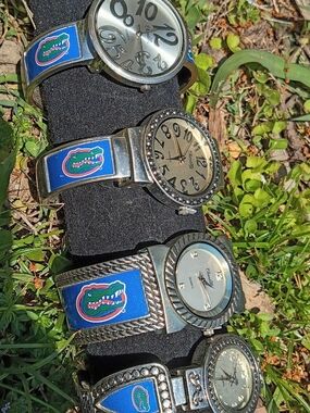 Ladies University Of Florida Gators Cup Style Band Watch